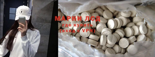 хмурый Алзамай