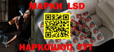 крисы Шелехов
