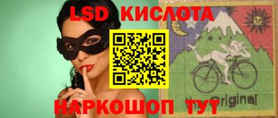 крисы Шелехов