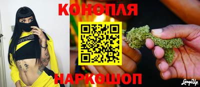 крисы Шелехов