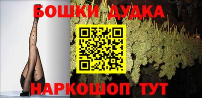 крисы Шелехов