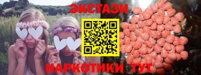 крисы Шелехов