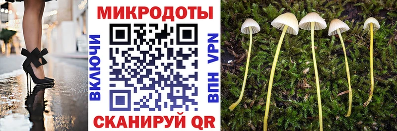 как найти закладки  Заинск  Псилоцибиновые грибы Psilocybine cubensis 