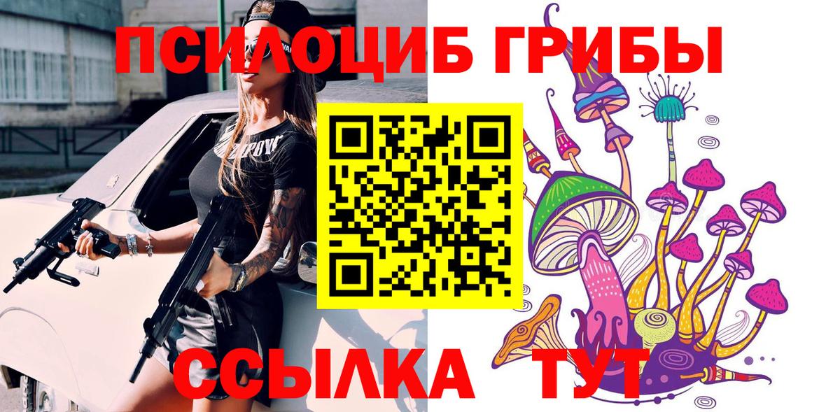 Заинск  Галлюциногенные грибы прущие грибы  Вход с VPN 
