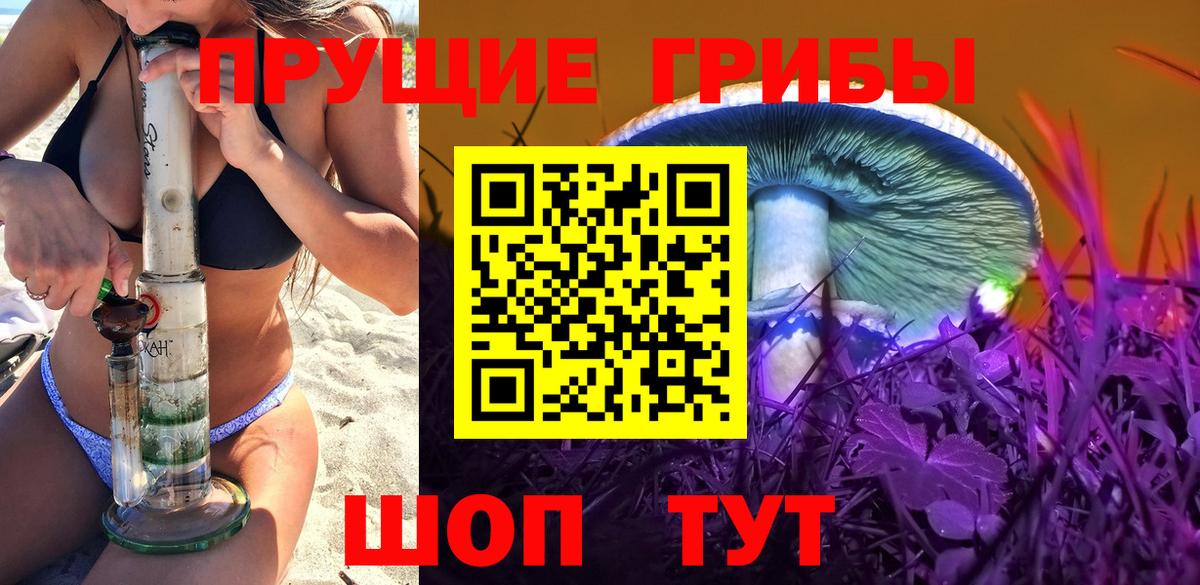 Галлюциногенные грибы Psilocybe Заинск